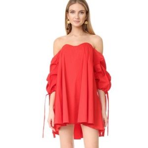 Caroline Constas Carmen Ruffle Dress